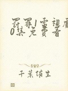 罚罪1电视剧40集免费看封面