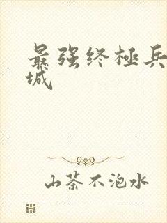 最强终极兵王宁城