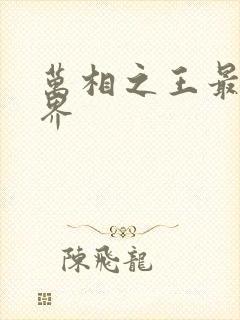 万相之王最高境界