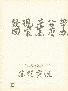 发现老公带女人回家怎么办