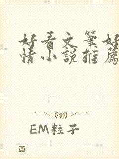 好看文笔好的言情小说推荐封面