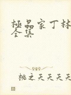 极品家丁林晚荣全集