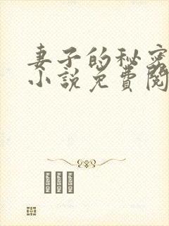 妻子的秘密吴双小说免费阅读