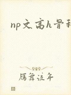 np文高h骨科