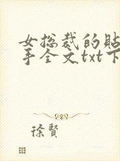 女总裁的贴身高手全文txt下载封面