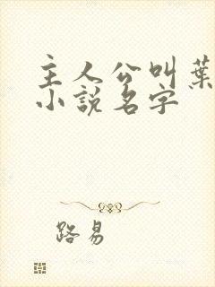 主人公叫叶凡的小说名字