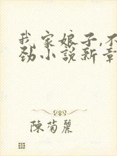 我家娘子,不对劲小说新章节列表