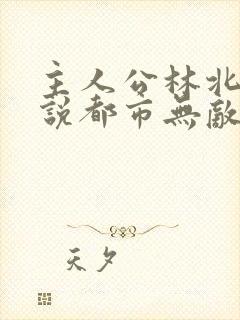 主人公林北的小说都市无敌战神