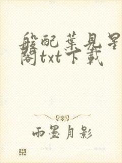 般配叶见星笔趣阁txt下载