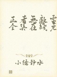 正者无敌电视剧全集在线免费观看