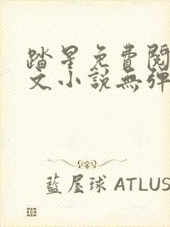 踏星免费阅读全文小说无弹窗