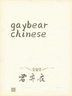 gaybearchinese