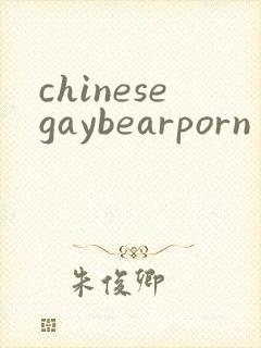 chinesegaybearporn