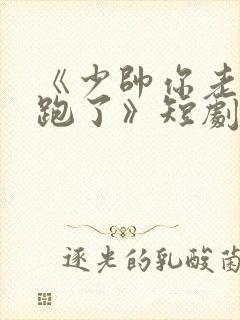 《少帅你老婆又跑了》短剧