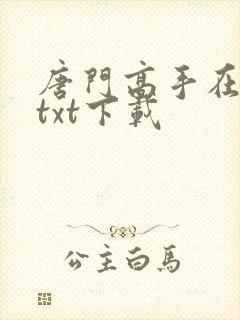 唐门高手在异世txt下载