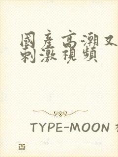 国产高潮又爽又刺激视频