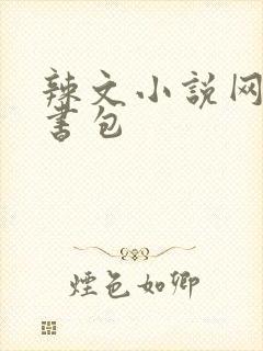 辣文小说网第二书包