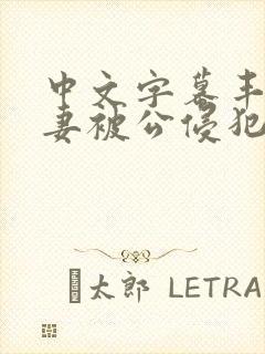 中文字幕丰满人妻被公侵犯