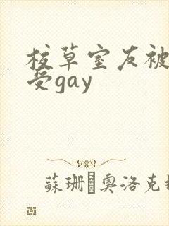 校草室友被清冷受gay