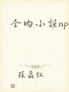 全肉小说np