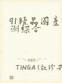 91精品国产亚洲综合