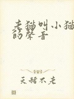 老猫叫小猫喝奶的声音