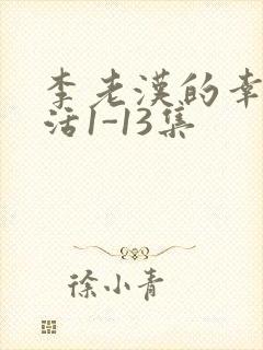 李老汉的幸福生活1-13集