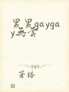男男gaygay无套