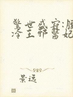 惊世盛宠:腹黑冷王邪医妃