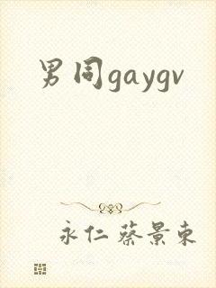 男同gaygv