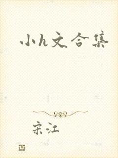 小h文合集封面