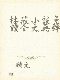 林薇小说免费阅读全文无弹窗