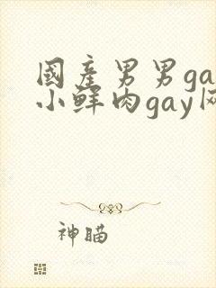 国产男男gay小鲜肉gay网站亚洲