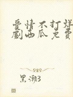 爱情不打烊电视剧西瓜免费观看