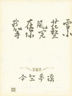 我在风花雪月里等你完整小说封面