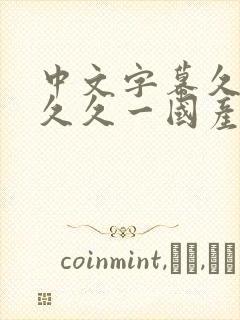 中文字幕久久久久久一国产精品久久