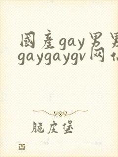 国产gay男男gaygaygv网站封面