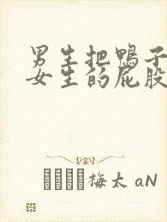 男生把鸭子插进女生的屁股的视频