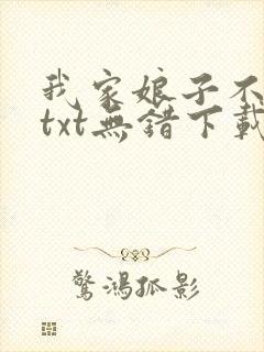 我家娘子不对劲txt无错下载封面