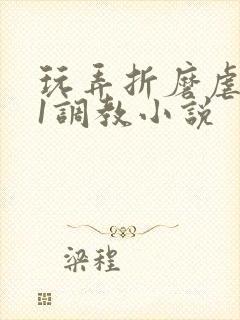 玩弄折磨虐女91调教小说封面