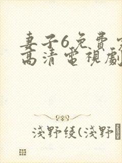 妻子6免费完整高清电视剧