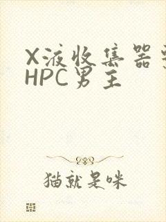 X液收集器系统HPC男主
