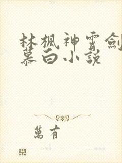 林枫神霄剑宗苏慕白小说