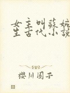 女主叫苏婉的重生古代小说