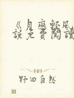 《月恋轻风》小说免费阅读封面