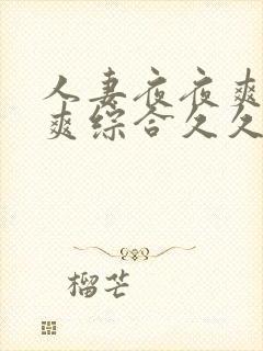 人妻夜夜爽天天爽综合久久