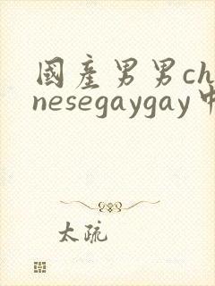 国产男男chinesegaygay中国帅哥网站