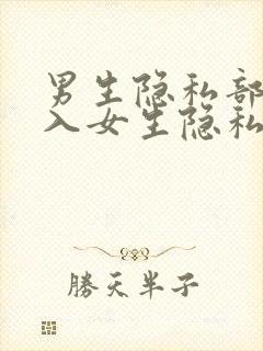 男生隐私部位插入女生隐私部位视频