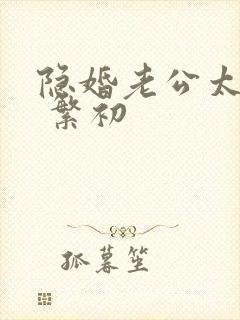 隐婚老公太神秘 繁初封面