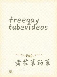 freegaytubevideos